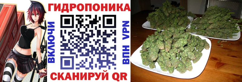 Шишки марихуана план  Абдулино 